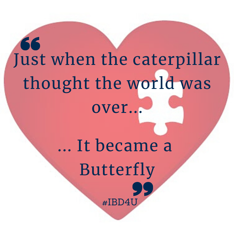 Caterpiller work over Noddy